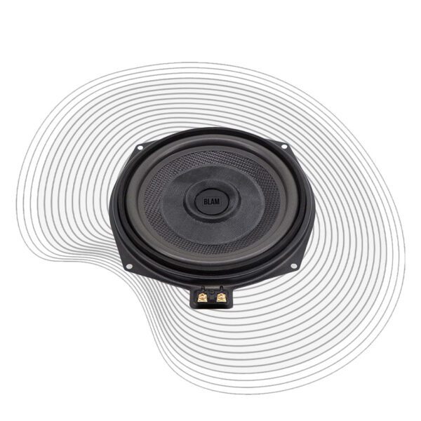 BM 200 WN subwoofer