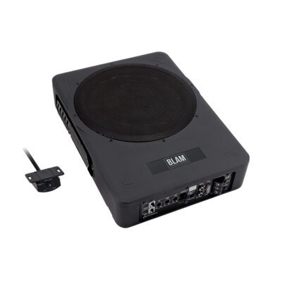MSA 25 P amplified subwoofer