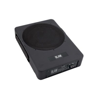 Caisson de basse MSP 25 P