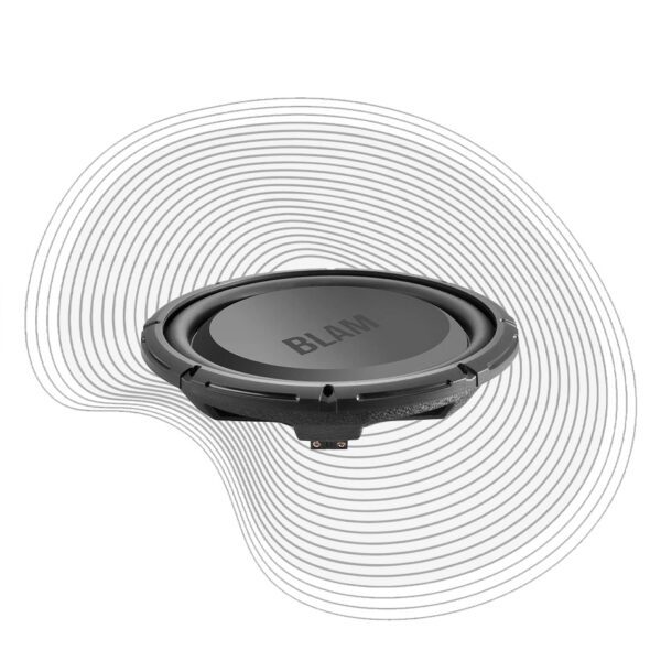 RS 12.4 subwoofer