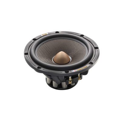 Woofer WS6