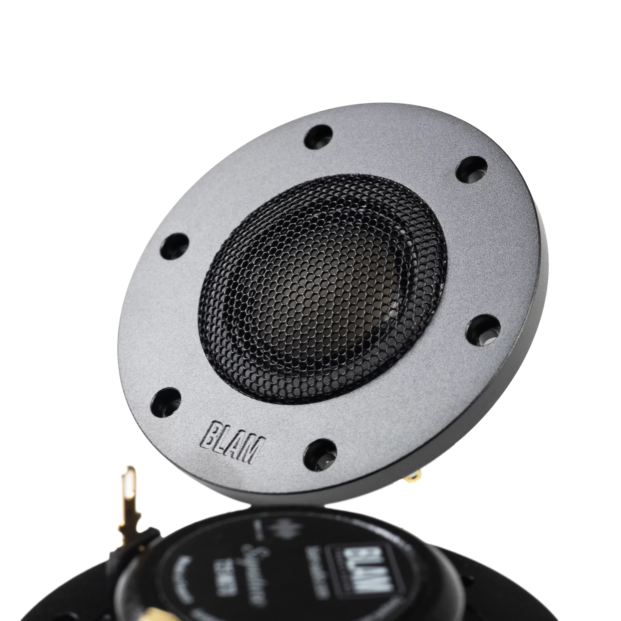 BLAM Signature TSM 25 MG 70 HR ツィーター T25 MG70 - Blam Audio